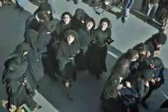 carnival-miguelturra-burial-sardine-1984
