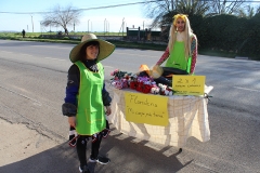 carnaval-miguelturra-entierro-sardina-2017