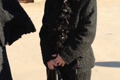 carnival-miguelturra-burial-sardine-2017