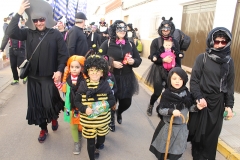 carnival-miguelturra-burial-sardine-2017