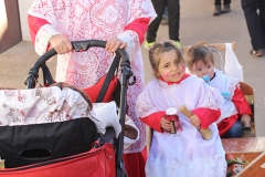 carnival-miguelturra-burial-sardine-2017