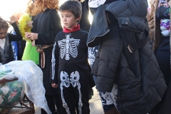 carnival-miguelturra-burial-sardine-2017