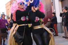 carnaval-miguelturra-entierro-sardina-2017