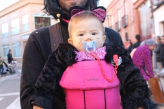 carnaval-miguelturra-entierro-sardina-2017