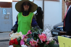 carnaval-miguelturra-entierro-sardina-2017