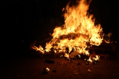 carnival-miguelturra-burial-sardine-2017