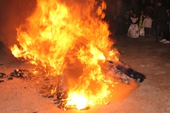 carnival-miguelturra-burial-sardine-2017