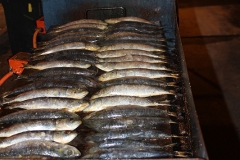 carnival-miguelturra-burial-sardine-2017