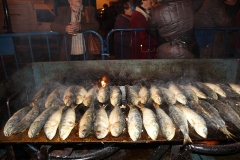 carnival-miguelturra-burial-sardine-2017