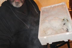 carnival-miguelturra-burial-sardine-2017