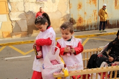 carnaval-miguelturra-sardina-2018