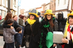 carnaval-miguelturra-sardina-2018