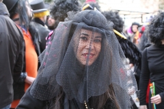 carnival-miguelturra-sardine-2018