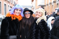 carnival-miguelturra-sardine-2018