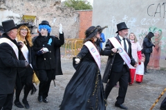 carnival-miguelturra-sardine-2018