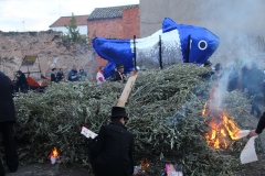 carnival-miguelturra-sardine-2018