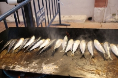 carnaval-miguelturra-sardina-2018