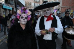 carnaval-miguelturra-entierro-sardina-2019