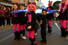 carnival-miguelturra-burial-sardine-2020