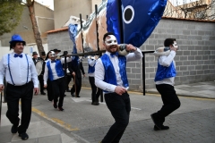 carnaval-miguelturra-entierro-sardina-2020