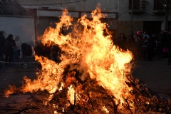carnival-miguelturra-burial-sardine-2020