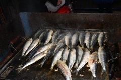 carnival-miguelturra-burial-sardine-2020
