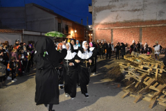 carnaval-miguelturra-entierro-sardina-2022