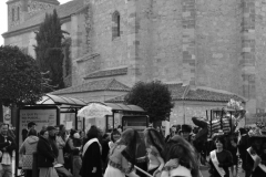 carnaval-miguelturra-entierro-sardina-2023