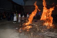 carnival-miguelturra-burial-sardine-2023