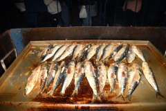carnaval-miguelturra-entierro-sardina-2023