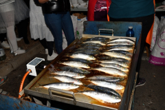 carnaval-miguelturra-entierro-sardina-2023