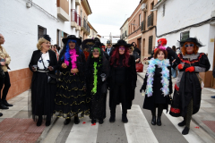 carnival-miguelturra-burial-sardine-2024