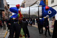 carnival-miguelturra-burial-sardine-2024