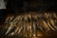 carnival-miguelturra-burial-sardine-2024