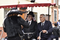 carnival-miguelturra-burial-2025