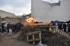 carnival-miguelturra-burial-2025