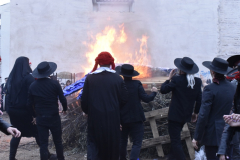 carnival-miguelturra-burial-2025