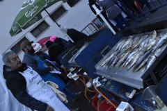 carnival-miguelturra-burial-2025