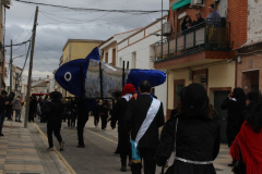 carnival-miguelturra-burial-2025