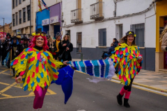 carnaval-miguelturra-entierro-2026