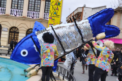 carnaval-miguelturra-entierro-2026