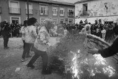carnaval-miguelturra-entierro-2026