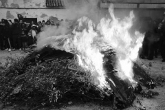 carnaval-miguelturra-entierro-2026