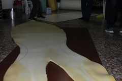 carnival-miguelturra-confection-sardine