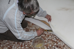 carnival-miguelturra-confection-sardine
