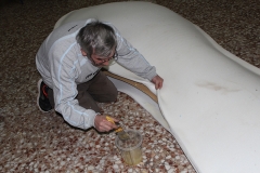 carnival-miguelturra-confection-sardine