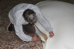 carnival-miguelturra-confection-sardine