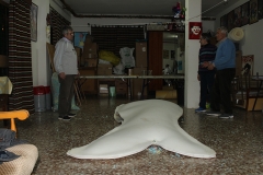 carnival-miguelturra-confection-sardine