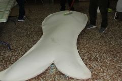 carnival-miguelturra-confection-sardine