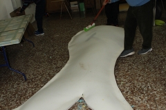 carnival-miguelturra-confection-sardine
